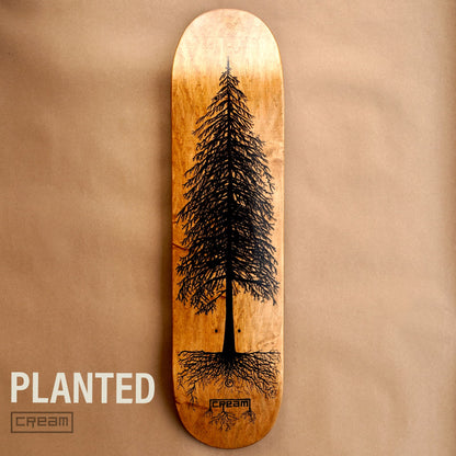 Planted Deck - 1