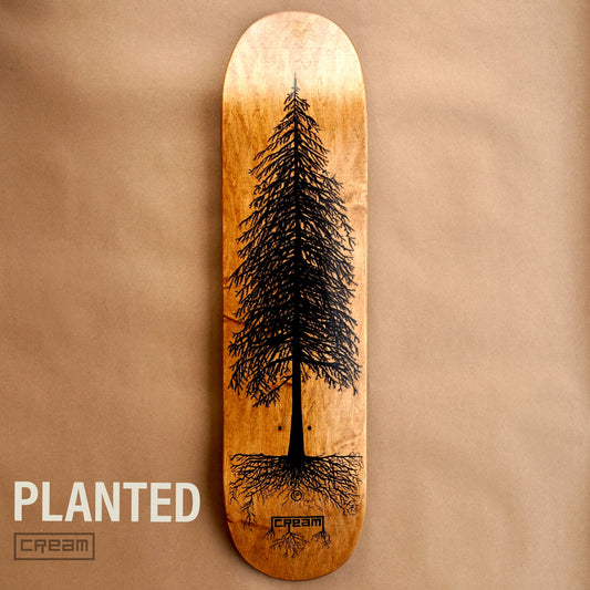 Planted Deck - 1